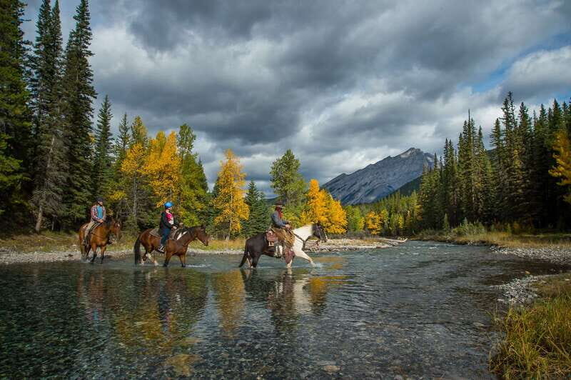 Banff: 4-Hour Sulphur Mountain Intermediate Horseback Ride - What Intermediate Riding Really Means Here