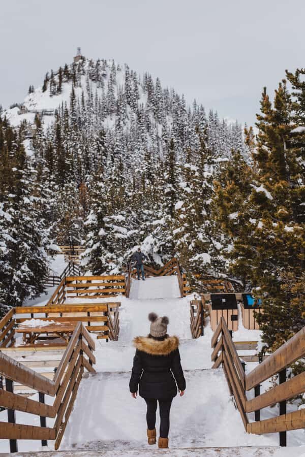 Banff: Banff Town, Gondola, and Johnston Canyon Day Tour - Key highlights worth your attention