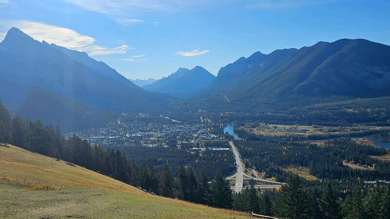 Banff: Evening Wildlife Safari Guided Tour - What You Really Do During the 2 Hours in Banff National Park