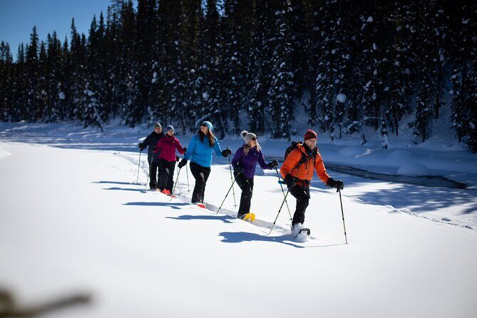 Banff, Lake Louise and Johnston Canyon - Winter Wonderland Tour - Lake Louise Winter Magic: Ice, Snowshoe Options, and Lakeside Time