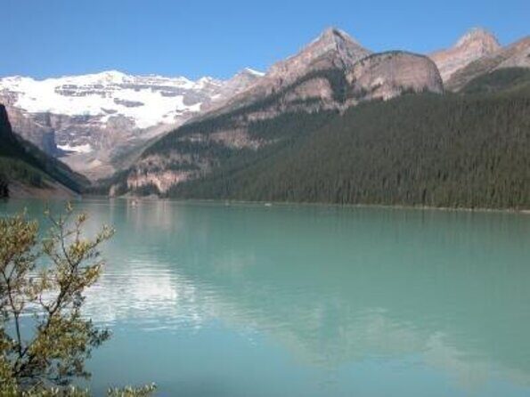 Banff, Lake Louise and Johnston Canyon - Winter Wonderland Tour - Price and Value: Is $180.96 Worth It?