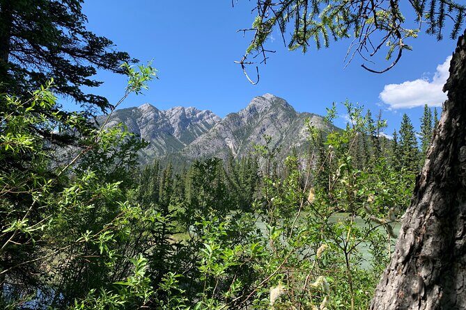 Banff LOST TOWNS and Untold Stories! 2hr Walk + Transportation - Key highlights that make this Banff walk worth your time