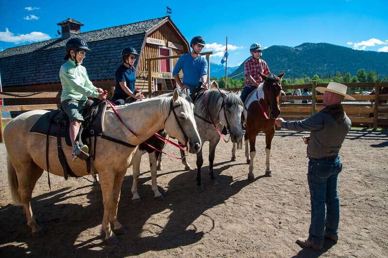 Banff National Park: 2-Hour Sundance Loop Horseback Ride - Horses, safety, and why the operation feels structured
