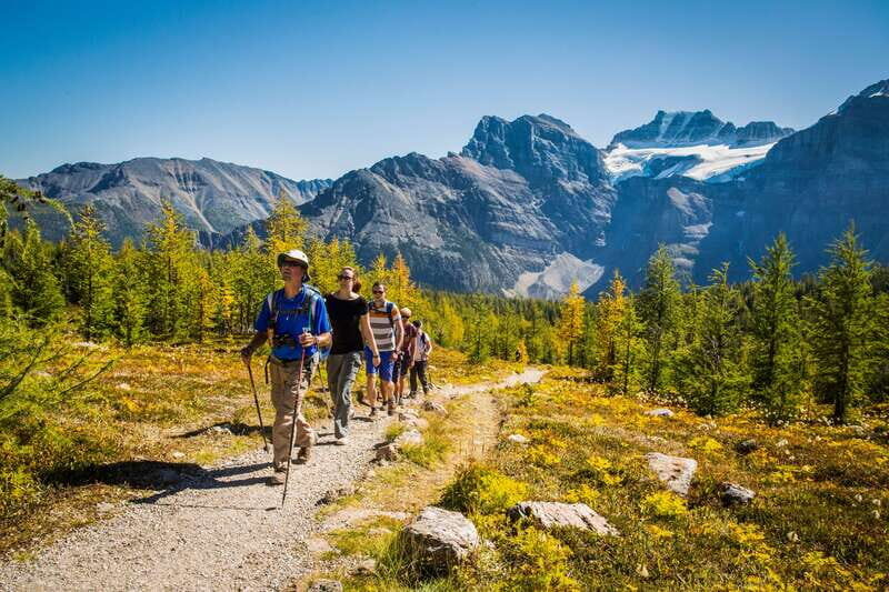 Banff National Park: Guided Signature Hikes with Lunch - The small-group vibe: what you’ll notice on the trail