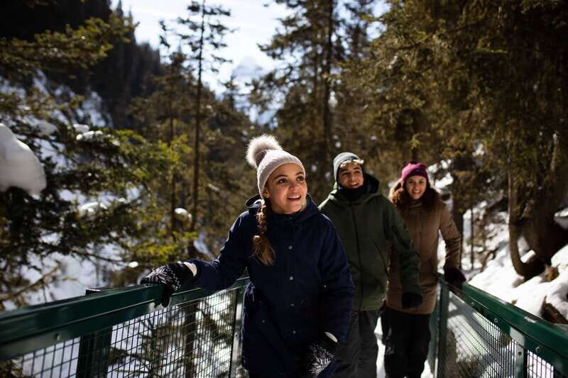 Banff: Premium Johnston Canyon Frozen Falls Guided Adventure - Key Highlights You’ll Actually Care About
