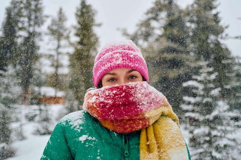Banff: Winter Wilderness Walk with Wildlife Tracking - 2hrs - Key highlights worth your attention