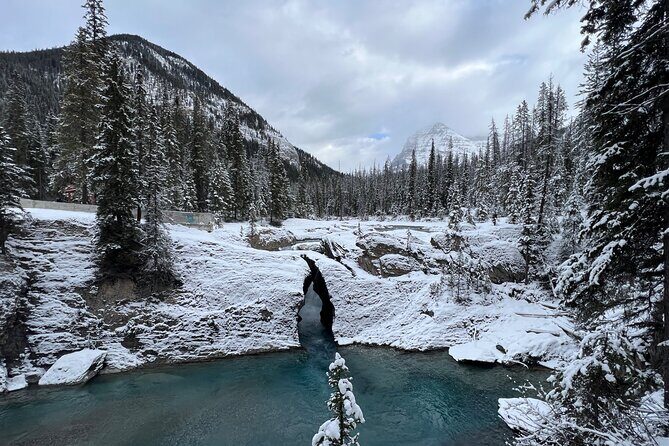 Banff, Yoho, and Icefield Parkway Private Tour - Lake Louise: Iconic Water, Real Time, and a Choice on Foot