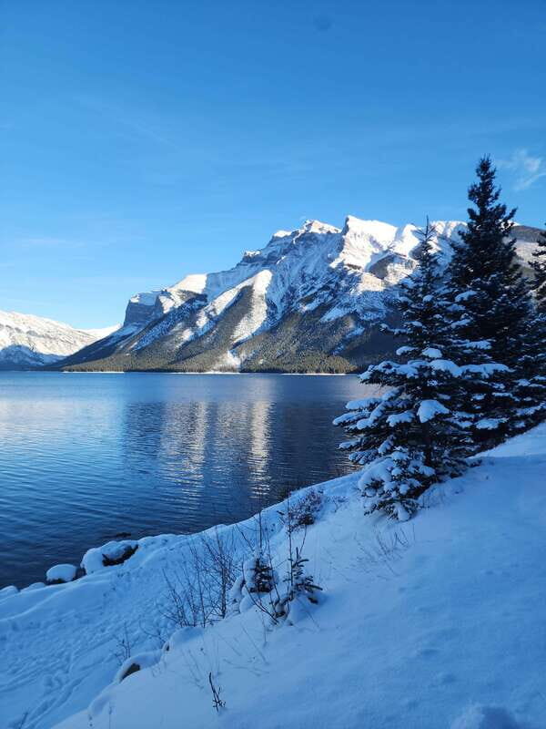 Canmore/Banff: Explore Banff & Wildlife - Key things that make this tour worth your time