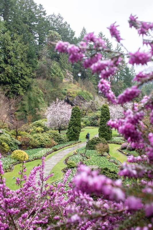 From Vancouver: Victoria, BC Ferry, Butchart Gardens Tour - Price and Value: What $182 Includes (and What It Doesn’t)