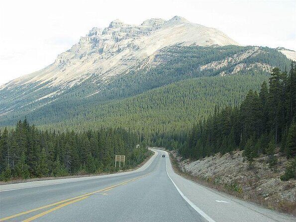 Icefields Parkway and Ice Bubbles of Abraham Lake Adventure - Key Things To Know Before You Go
