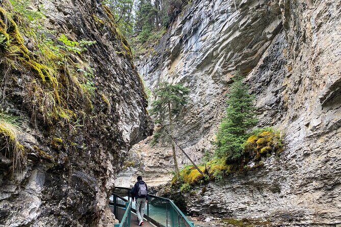 Moraine Lake Lake Louise Johnston Canyon Emerald Lake Day tour - Emerald Lake and Natural Bridge: Yoho’s calmer pace