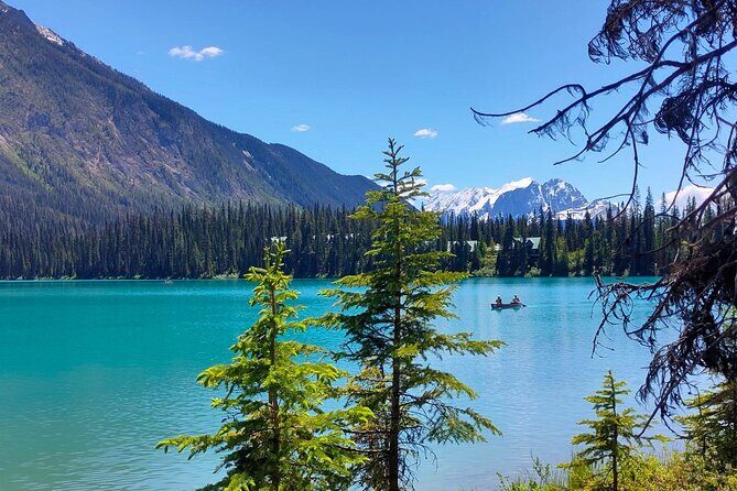 Peyto Lake, Bow Lake Lake Louise Moraine Lake Half Day Tour - Pickup timing and what it means for your day