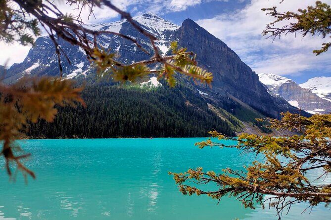 Peyto Lake, Bow Lake Lake Louise Moraine Lake Half Day Tour - The drive stops that add context, not just miles