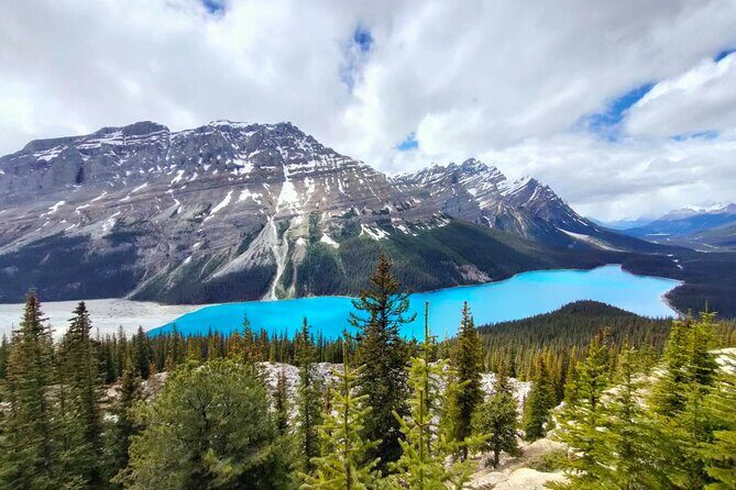 Peyto Lake, Bow Lake Lake Louise Moraine Lake Half Day Tour - Summer vs winter: Moraine Lake decides the whole plan