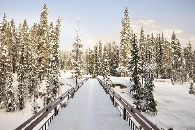 Private Banff and Yoho National Park Tour with Moraine Lake - The value of a private Banff and Yoho day (and why it costs what it costs)