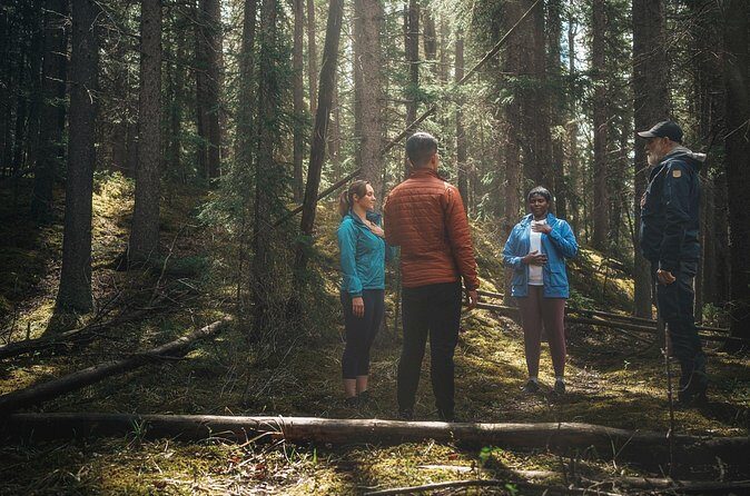 Private Forest Bathing Experience Connect with Nature - Price and value for $261.40 per person in Banff