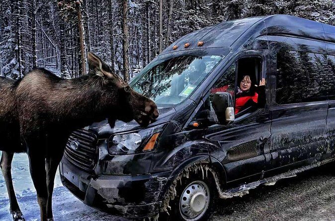 Shuttle from Banff or Canmore to Moraine Lake and Lake Louise - Stop 2: Lake Louise and a realistic hour for views and photos